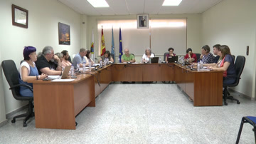 poster Pleno ordinario 29 de maio 2025